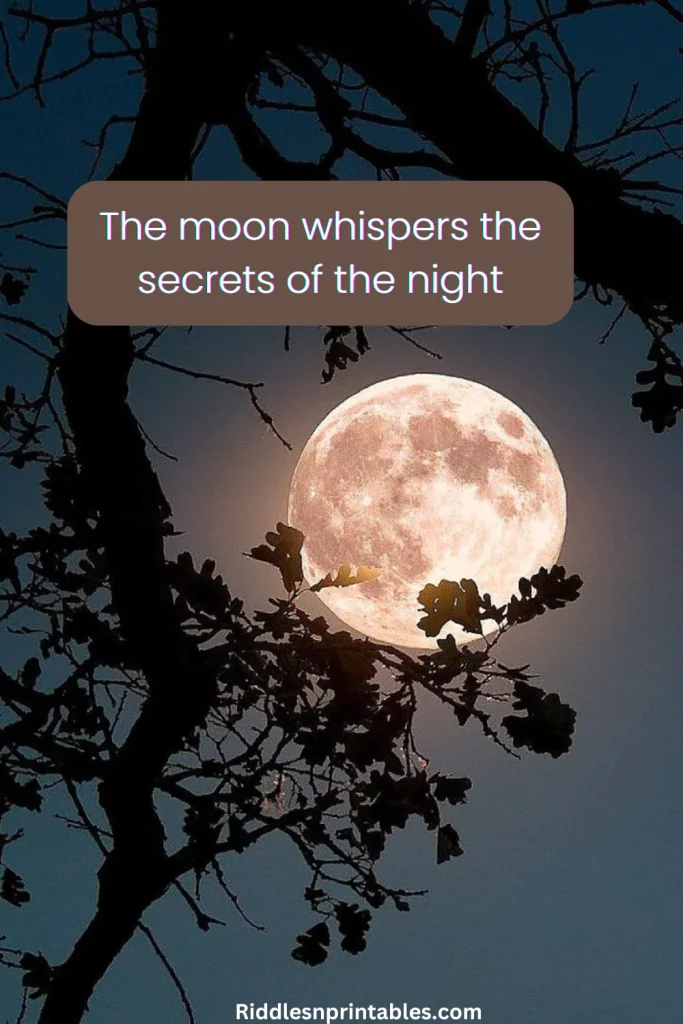 200+ Highlighted Best Moon Captions For Instagram That You Will Like Most