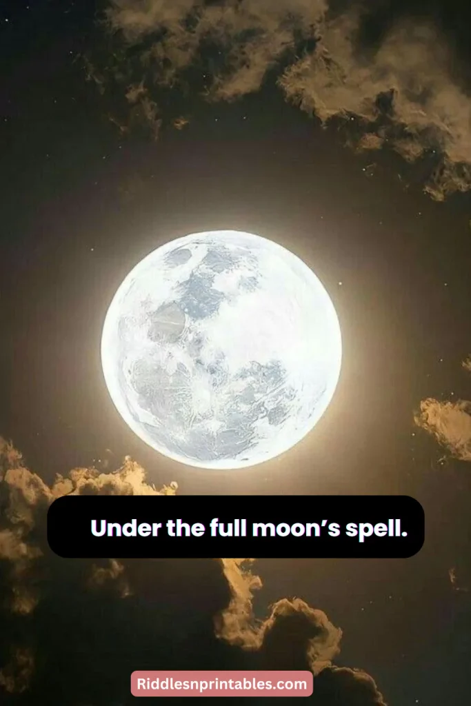 200+ Highlighted Best Moon Captions For Instagram That You Will Like Most