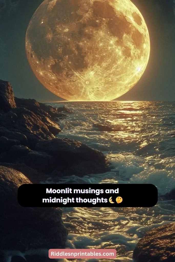 200+ Highlighted Best Moon Captions For Instagram That You Will Like Most