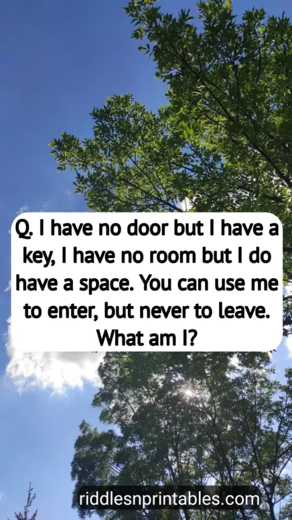 78 Riddles About A Keys With Answers That Will Improve Your Brain.