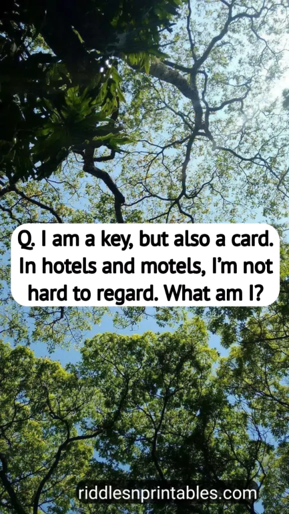 78 Riddles About A Keys With Answers That Will Improve Your Brain.